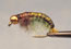 BH NET BuilderCaddis - Olive