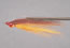 Clouser DP MinnowSculpin 
