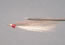 Clouser DP MinnowSilver Shiner