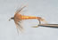 Whitlock NymphRed Squirrel