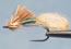Sow BugGray