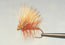 Elkhair Caddis - click to enlarge