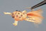 Anderson McCrab - click to enlarge