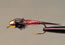 Copper John Barr'sGB Red