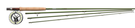Sage TCX